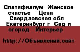 Спатифиллум (Женское счастье) › Цена ­ 300 - Свердловская обл., Екатеринбург г. Сад и огород » Интерьер   